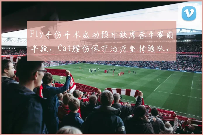Fly手伤手术成功预计缺席春季赛前半段，Cat腰伤保守治疗坚持随队，KPL老将伤停策略迥异
